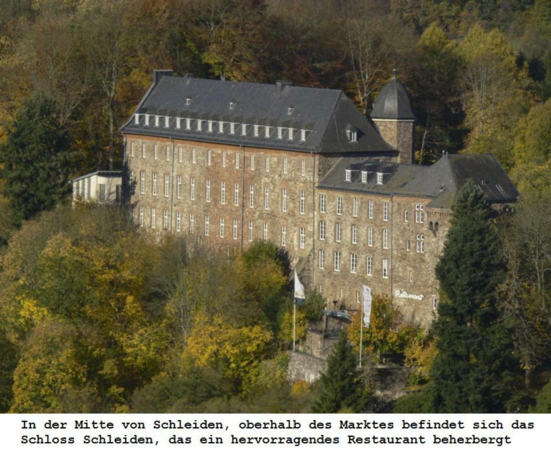 Ferienwohnung Gross B Schleiden Zewnętrze zdjęcie